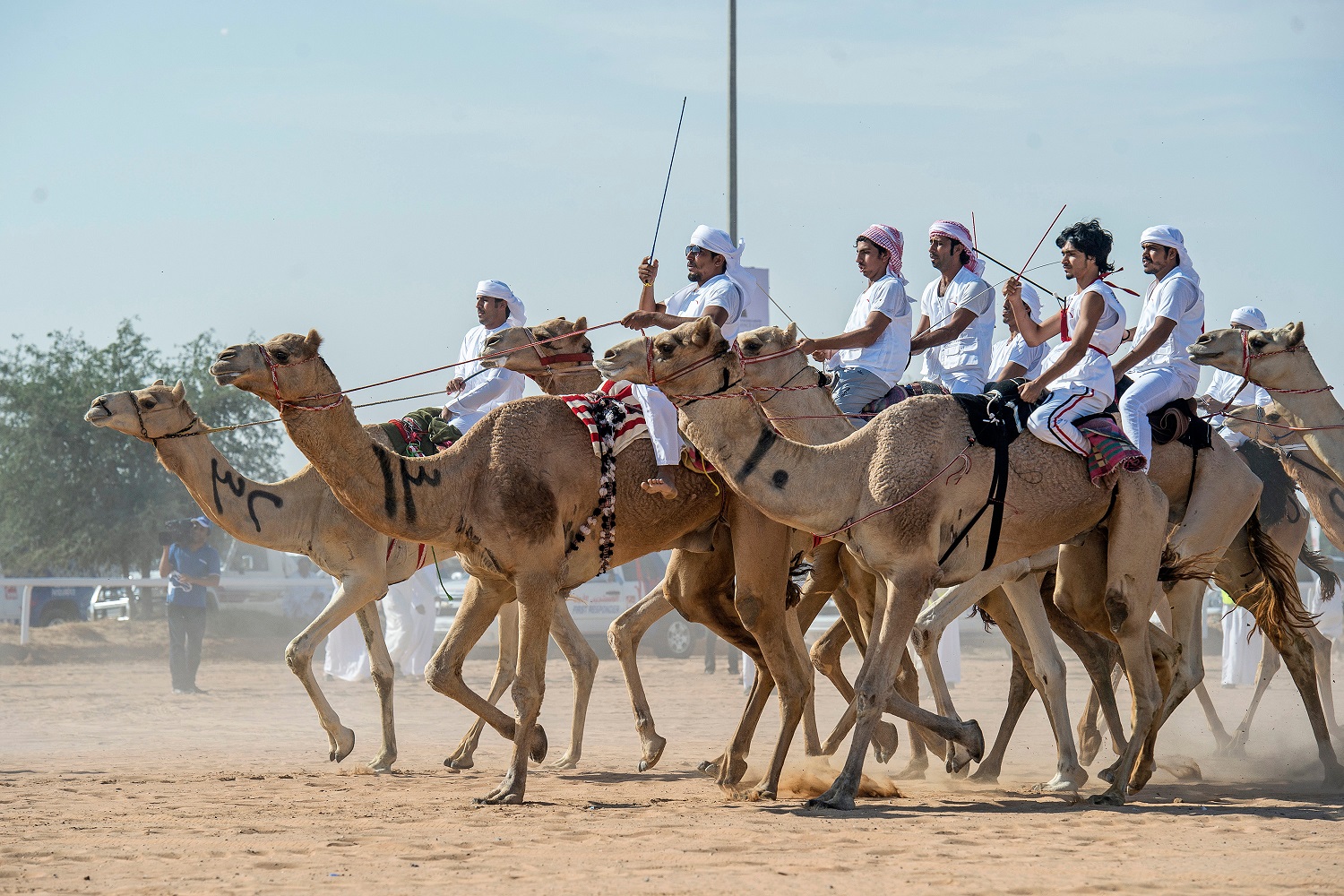 National Day Camel Marathon in Dubai on Saturday to celebrate festive